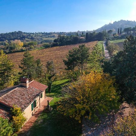 Il Vigneto Cottage Bertinoro Exterior photo