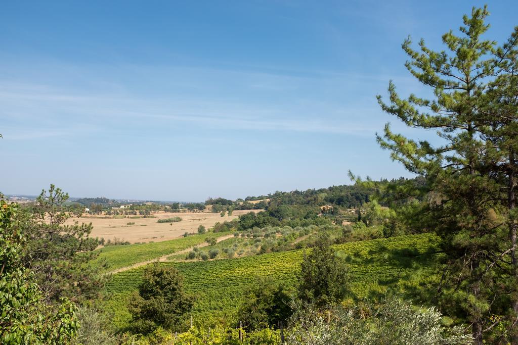 Il Vigneto Cottage Bertinoro Exterior photo